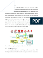 Fisiologi Eritropoiesis