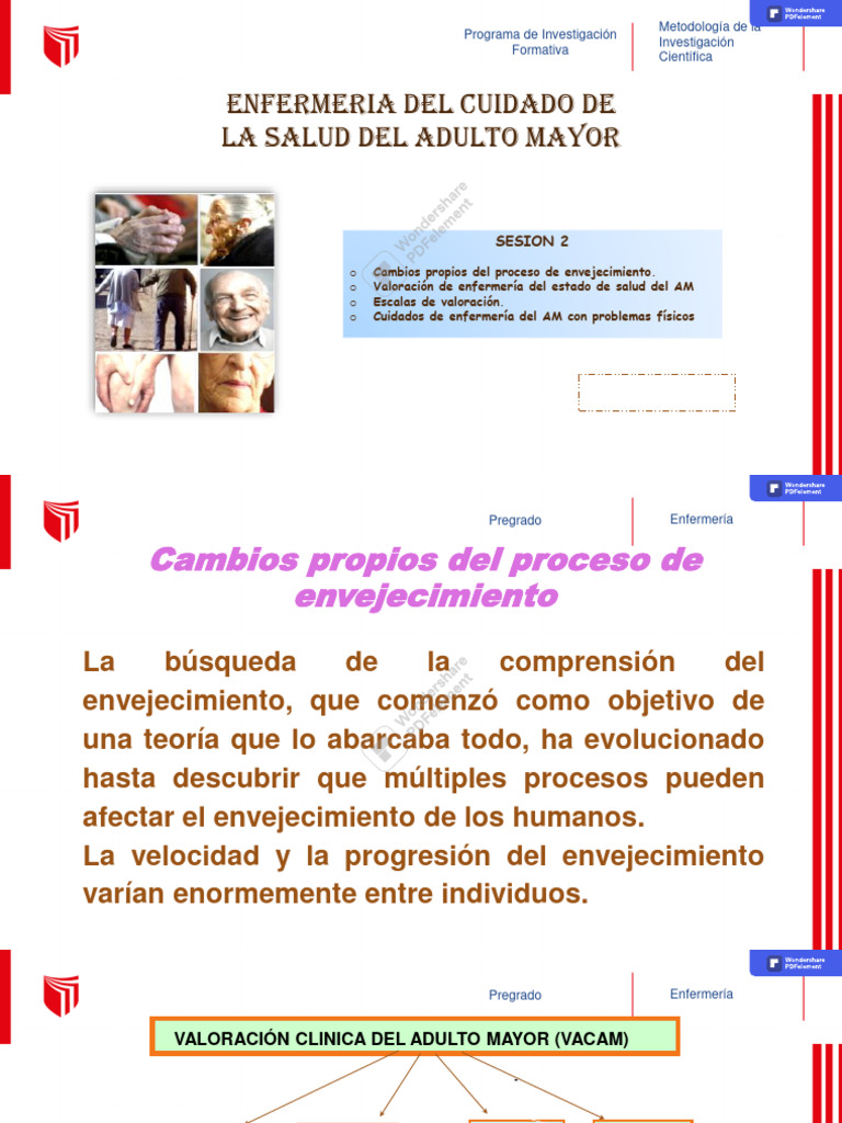 Cuidados de Enfermería en Adultos Mayores | PDF | Alimentos | Nutrición