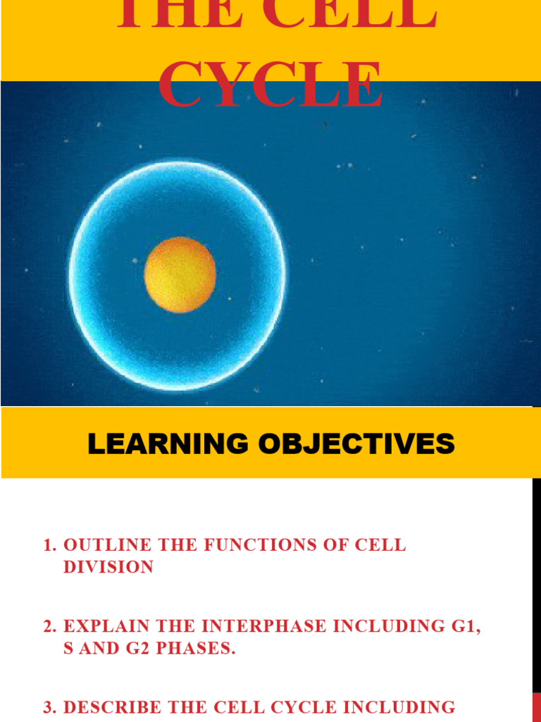 Understanding the Cell Cycle and Division | PDF | Chromosome | Cell ...