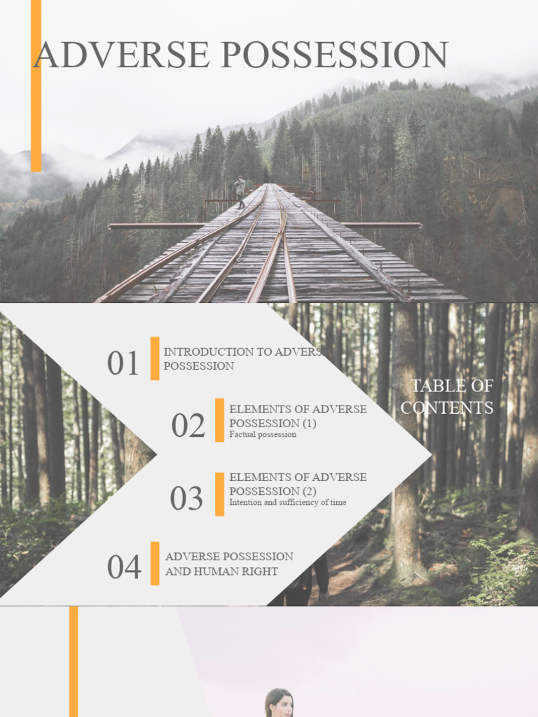 How capitalism shaped property law (adverse possession)