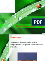 Plants Nutrition2