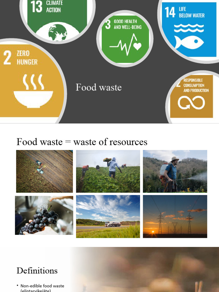 Understanding Food Waste and Solutions | PDF | Waste | Foods
