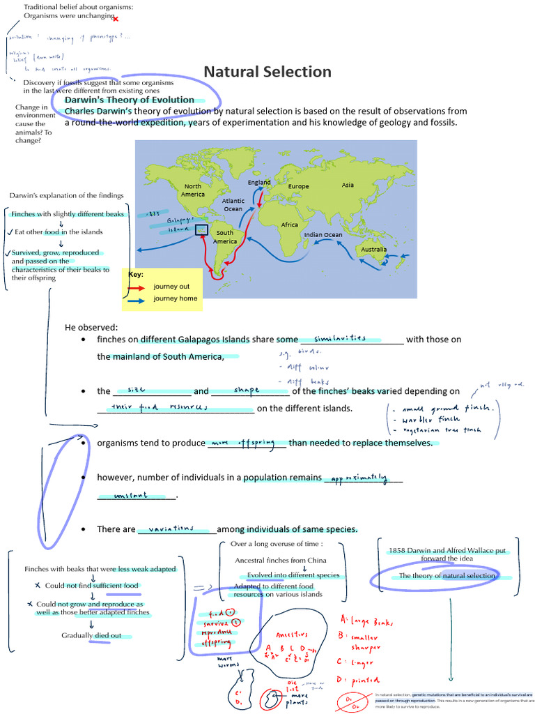 17 1 Natural Selection Download Free Pdf Natural Selection Zygosity