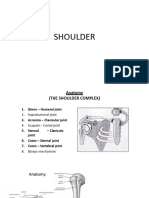 Shoulder Review