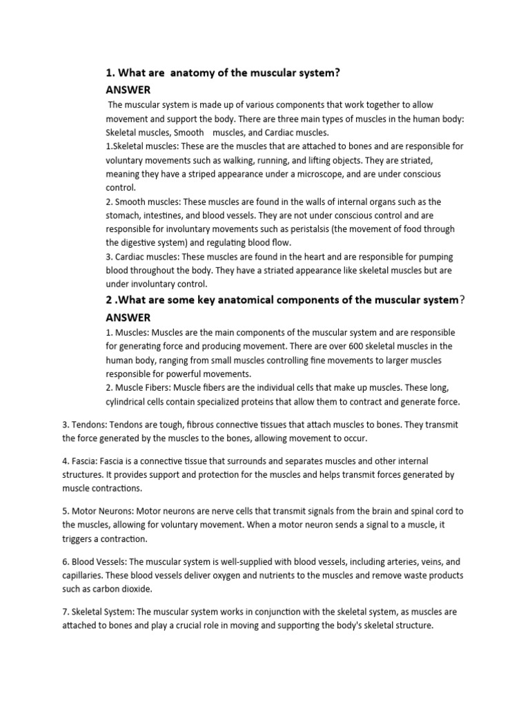 Anatomy ASS Two Finished | PDF | Muscle | Human Leg