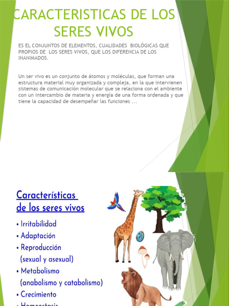Caracteristicas de Los Seres Vivos 2022 | PDF | Excreción | Organismos