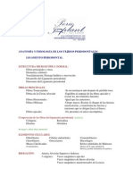 Ligamento Periodontal