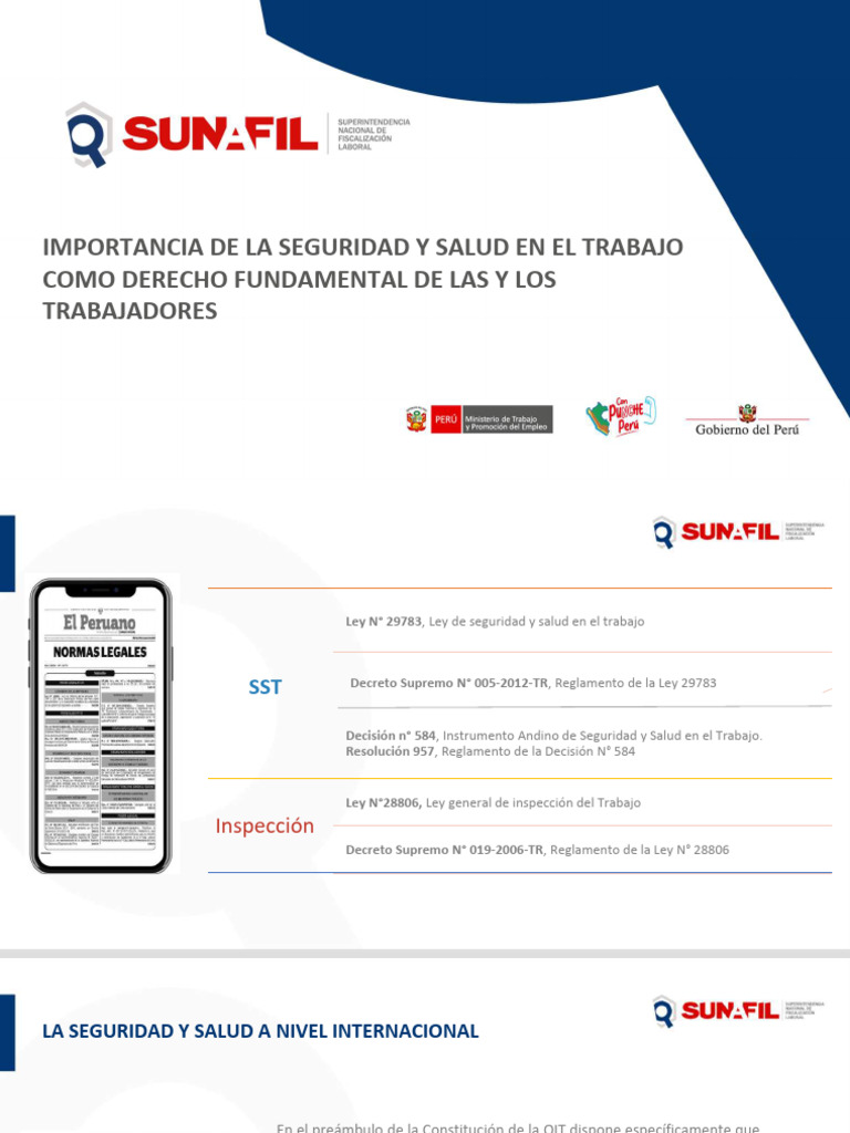 Importancia de La Seguridad y Salud en El Trabajo | PDF | Derecho ...