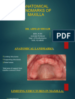 Anatomical Landmarks of Maxilla