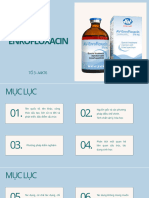 ENROFLOXACIN