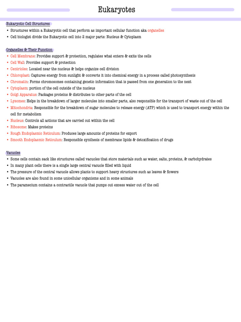 Eukaryotic Cell Structures and Functions | PDF | Home & Garden