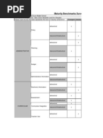 Maturity Benchmarks Survey Sheet