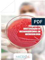 Curso de Identificação em Microbiologia - Apostila