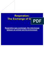 5. Respiration- The Exchange of Gases