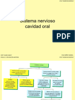 U.D.2.-2.5.- Sistema nervioso cavidad oral