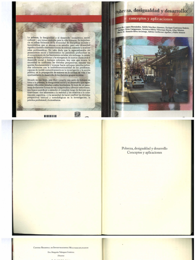 Pobreza - Desigualdad y Desarrollo - Libro | PDF