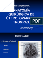 Anatomia Quirurgica Utero