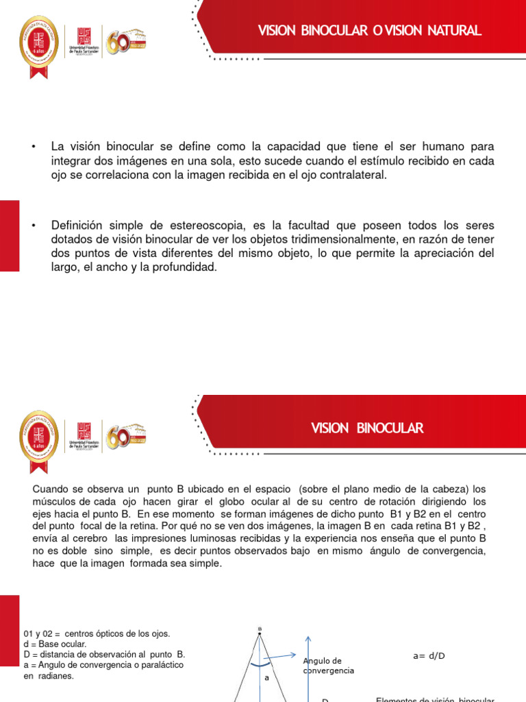 Tema 5 Vision Binocular Ufps.1 | PDF | Estereoscopia | Percepción visual