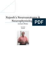 Najeeb Neuroanatomy and Neurophysiology Notes