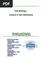 Topic 4 - Cell Membrane