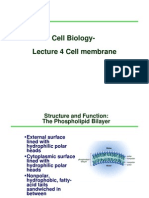 Topic 4 - Cell Membrane