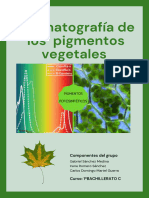 Informe de Practica Cromatografia Pigmentos Vegetales