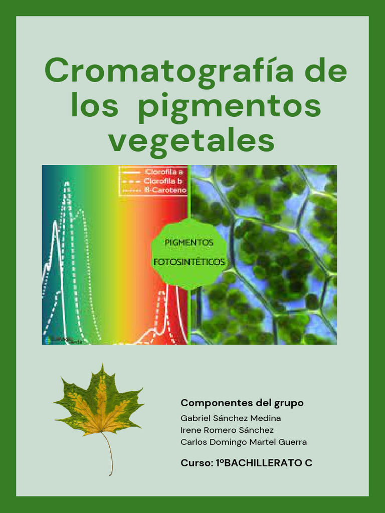 Informe de Practica Cromatografia Pigmentos Vegetales | Descargar ...