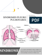 1 Sindromes Pleuro Pulmonares