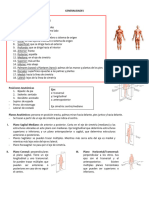 Resumen Examen Anatomía Enfermería