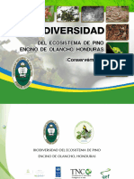 Biodiversidad Del Ecosistemas de Pino en