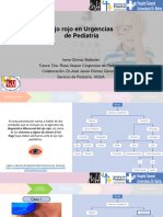 Curso 2022 23 - OJO ROJO EN URGENCIAS DE PEDIATRIA - Rosa Vaquer