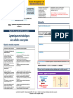 Tb 5 Metabolisme Fiche