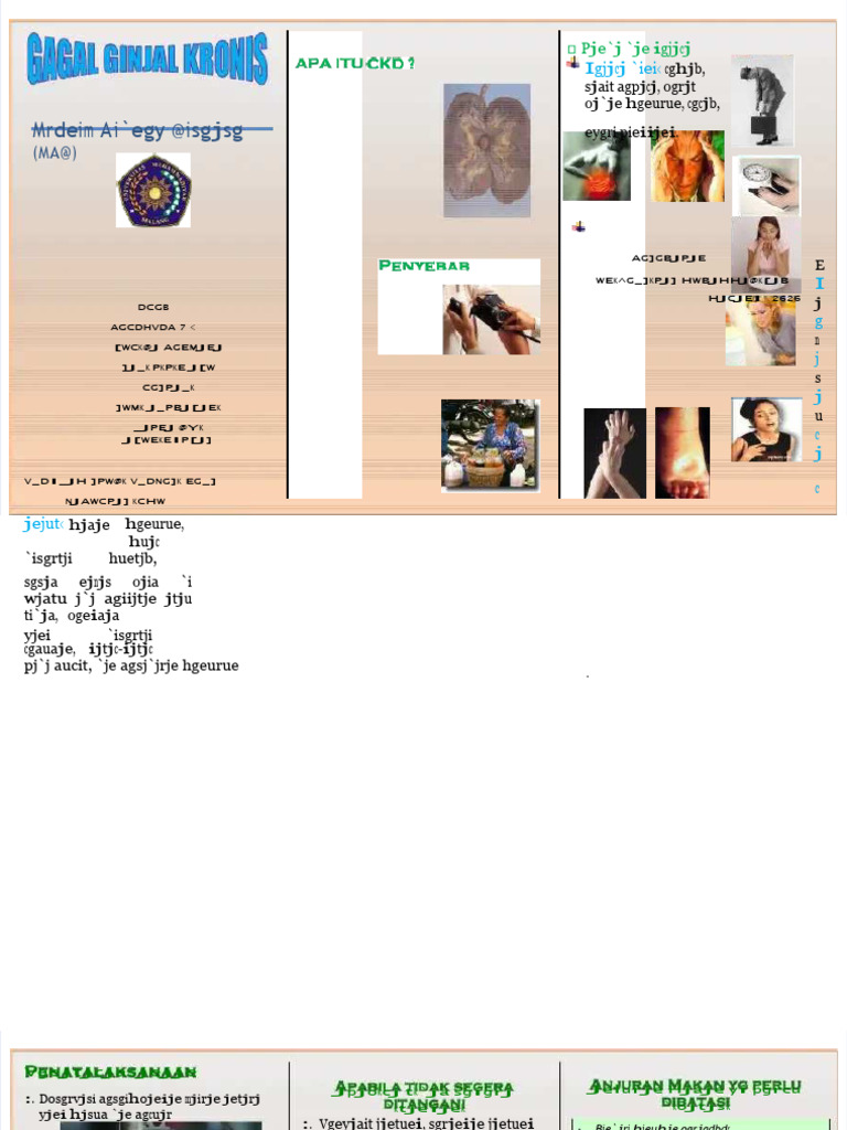 PDF Leaflet CKD - Compress | PDF
