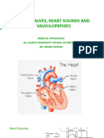 Heart Valves, Heart Sounds, Valvulopathies - Students