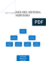 repaso neuro (1)