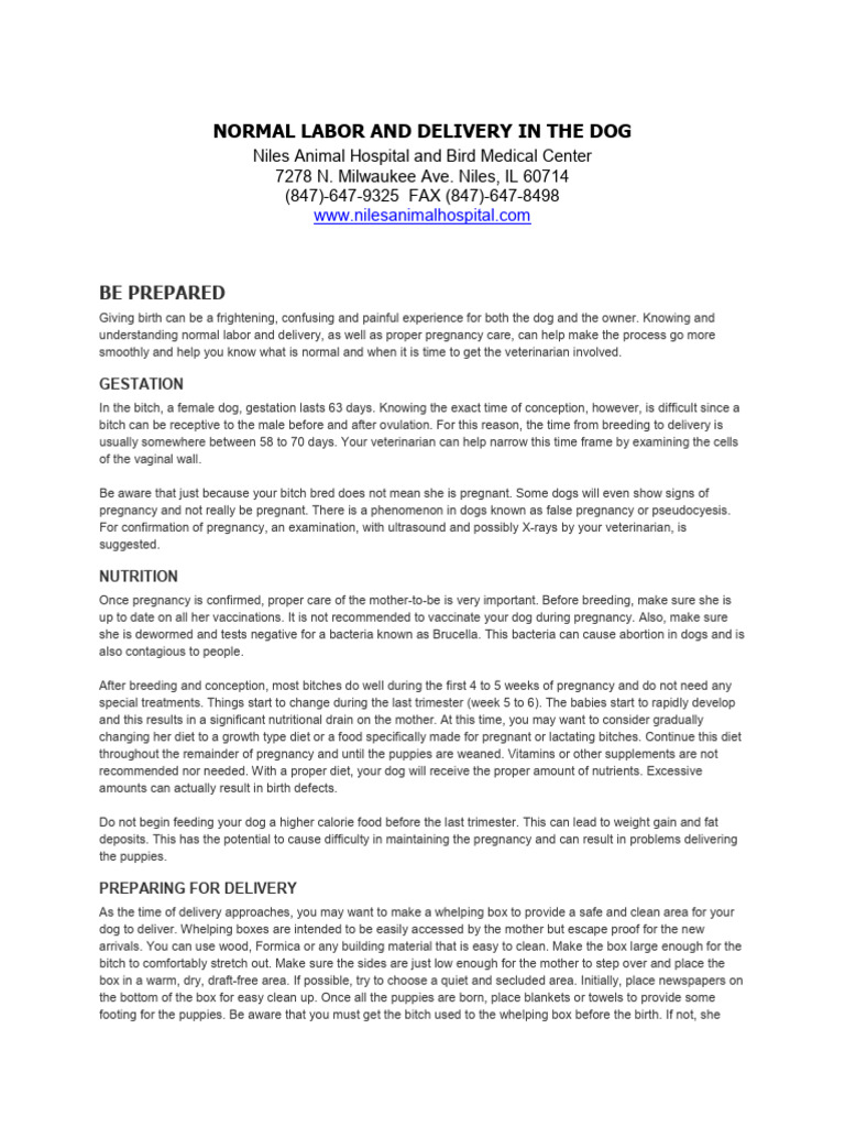 Normal labor and delivery in the dog pdf childbirth pregnancy