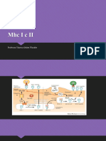 Imunologia clínica questões  e caso clínico Mhc I e II