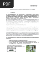 2 Tracto Digestivo Crustáceos | PDF