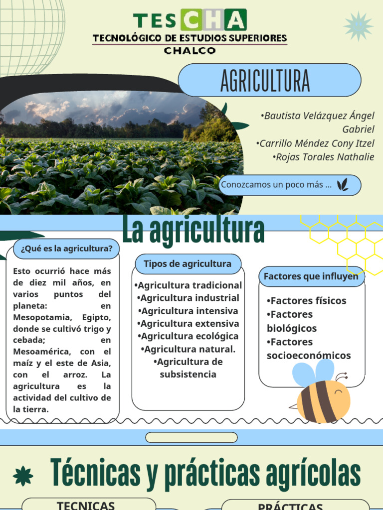 Terra Per Tartarughe Di Terra AGRI-CULTURA - Substrato Naturale 20L Per Terrario
