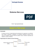 Sistema Nervoso