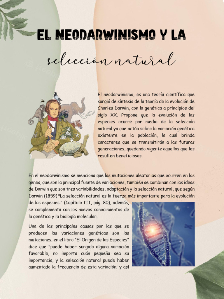 Neodarwinismo y Selección Natural | PDF | Evolución | Seleccion natural