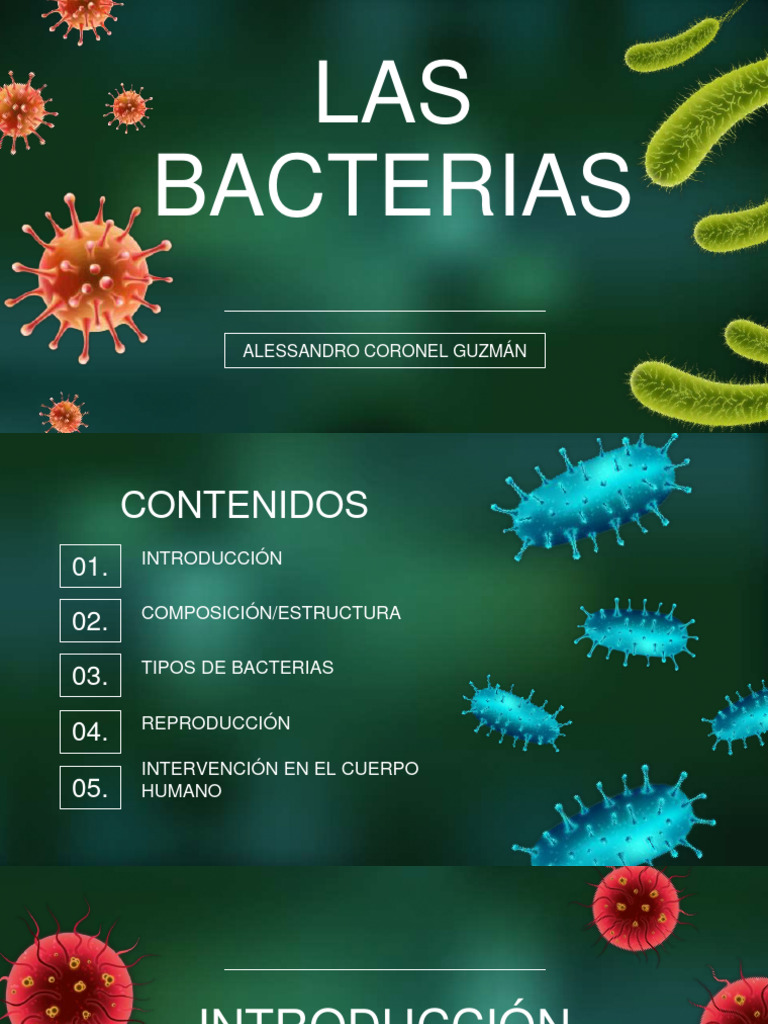 Tipos y funciones de las bacterias | PDF