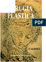 Cirugia - Plastica Dr. Calderon