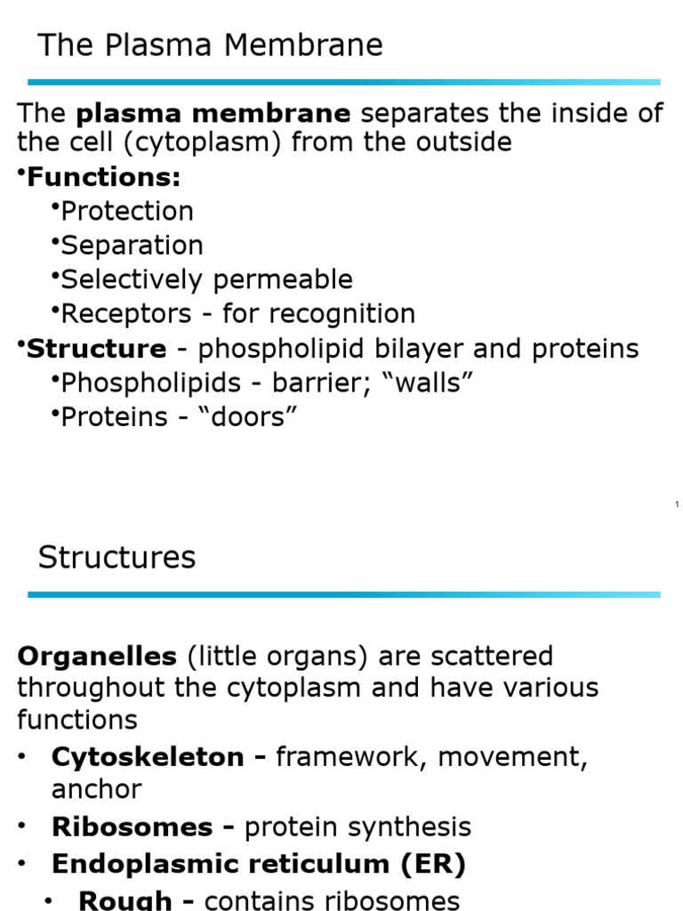 BIO101 CH 3 Cell | PDF