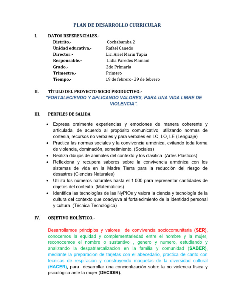Plan de Desarrollo Curricular 2024 | PDF | Dibujo | Plan de estudios