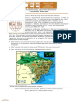 Brazil Restructuring of The Oil Gas Industry