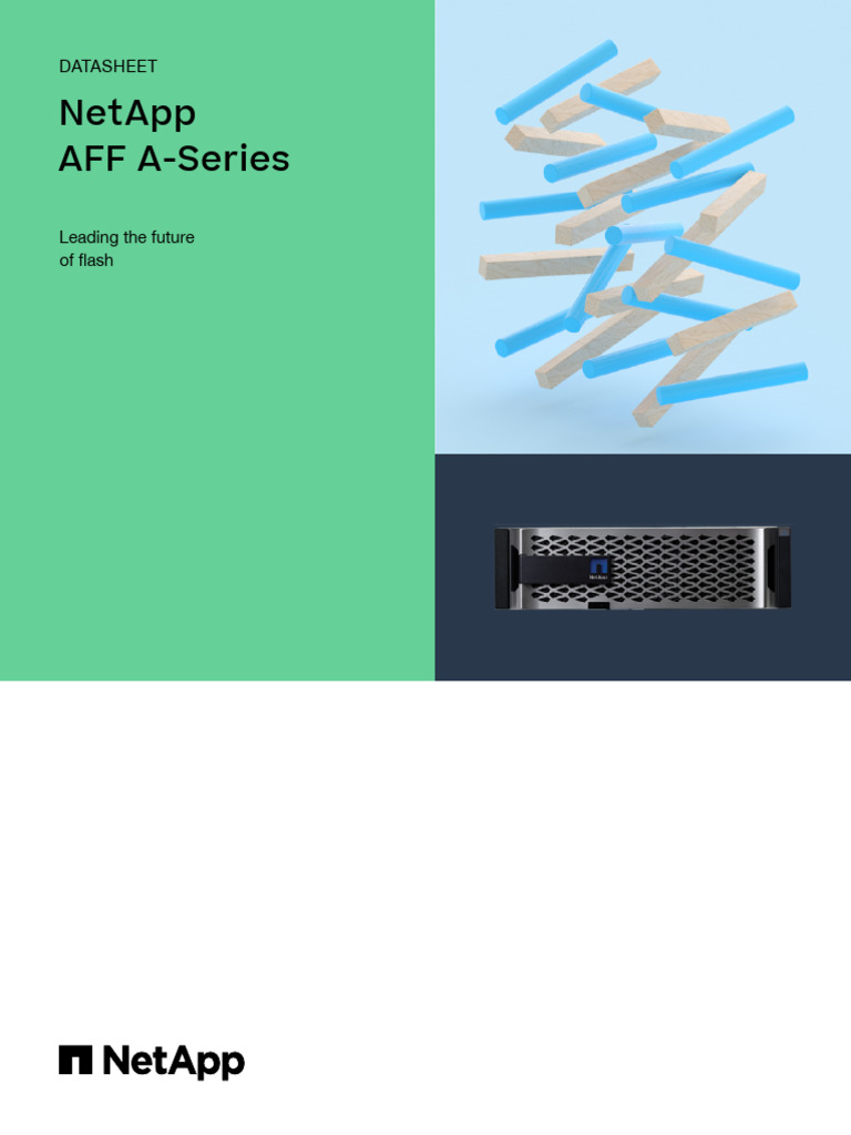 NetApp Datasheet AFF A Series | PDF | Cloud Computing | Computer ...