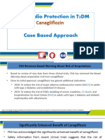 Reno Cardio Protection With Canagliflozin - Endo Perspective