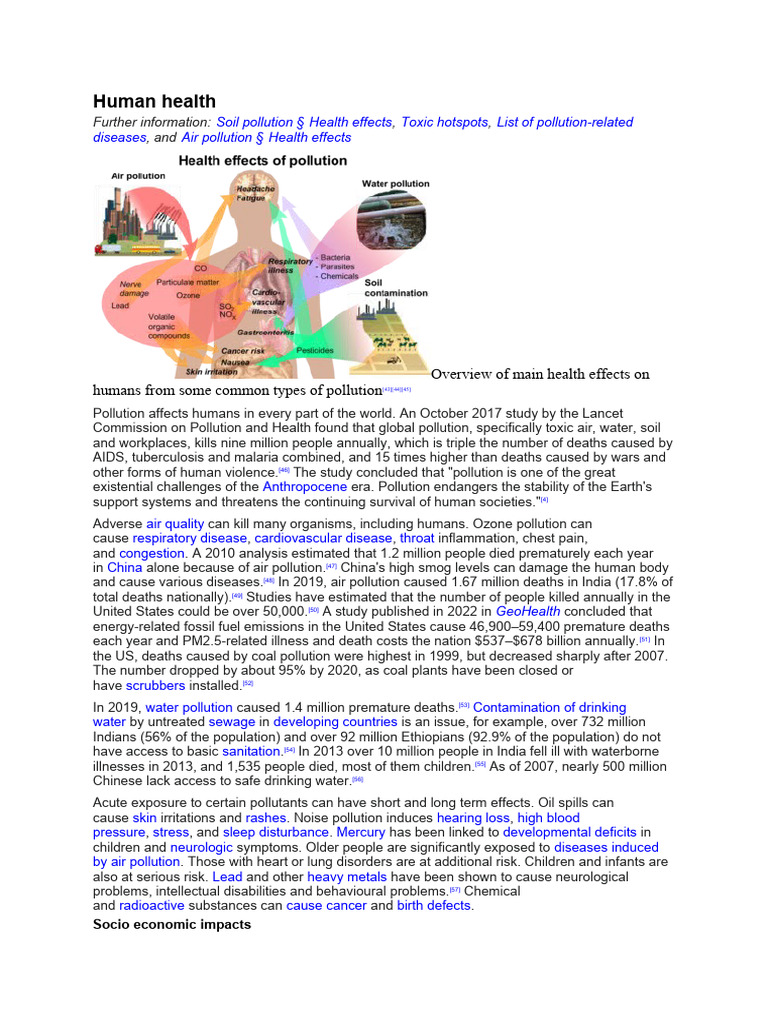 Health Impacts of Pollution on Humans | PDF | Air Pollution | Pollution