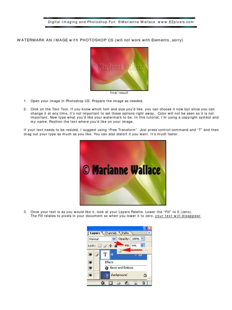 Watermarks | PDF